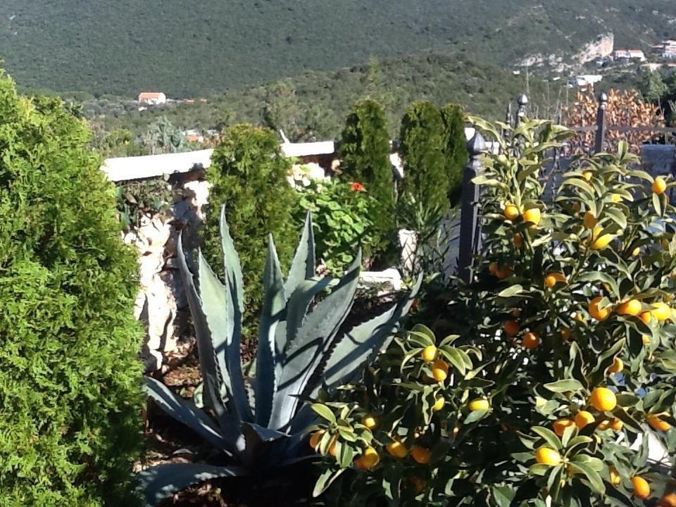 Mirista Villa Luštica