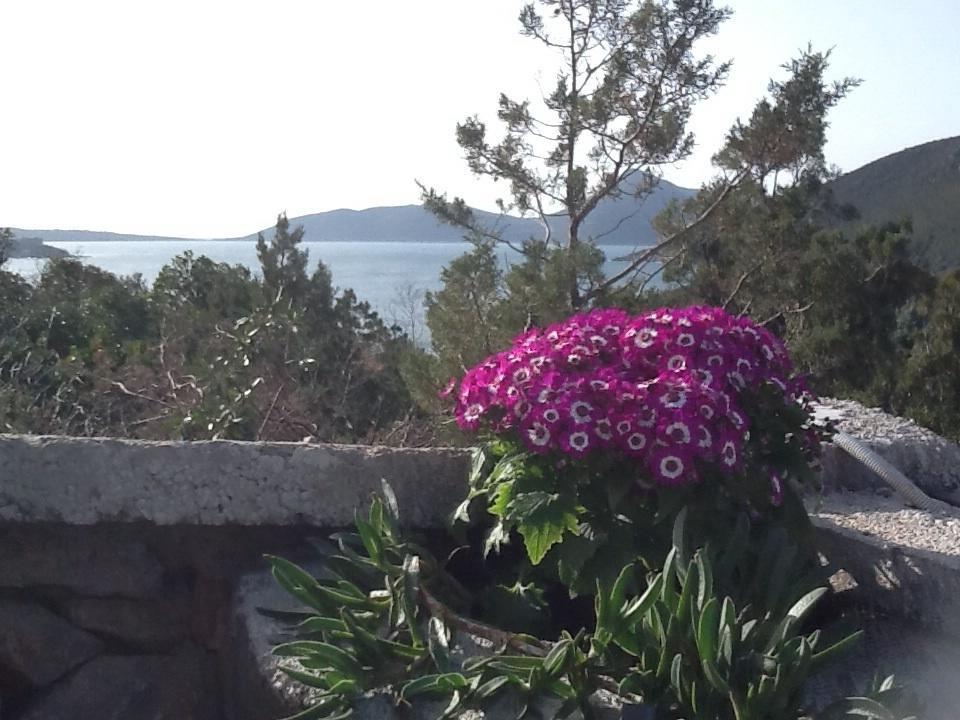 Mirista Villa *